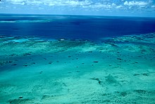 A 2016 photo of the Great Barrier Reef near Cairns, where Michiko Okuyama's ashes were scattered The Great Barrier Reef, Cairns, Queensland (Ank Kumar) 05.jpg