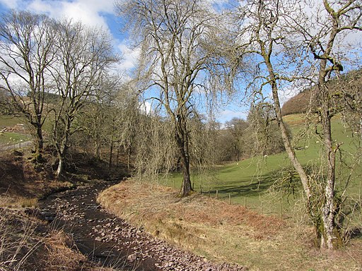 The Nant Ddu - geograph.org.uk - 3422159