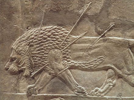 Wounded lion, detail from the Lion Hunt of Ashurbanipal, 7th century BC, British Museum