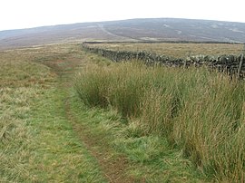 Směrem k Brown Knoll - geograph.org.uk - 986214.jpg