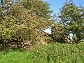 Trabboch Castle from the south-west.jpg