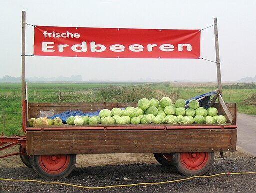 Trailer with ready-for-sale white cabbage and a banner reading "fresh strawberries"