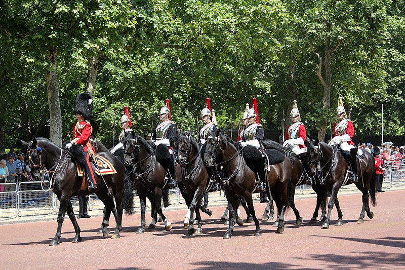 File:Trooping the Colour 2018 (01).jpg