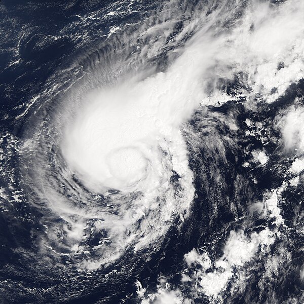 File:Tropical Storm Harvey Aug 4 2005.jpg