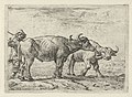 Two Buffaloes and a Herdsman