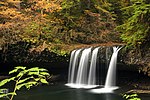Thumbnail for Butte Creek Falls