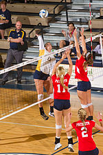 The Patriots women's volleyball team in action against the Texas A&M-Commerce Lions in 2013 VB vs DBU-4578 (9725344624).jpg