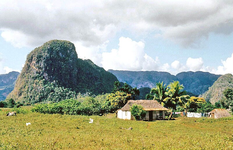 File:Valle de Viñales (1983) 04.jpg