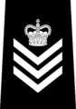 Staff sergeant (Vancouver Police Department)[51]