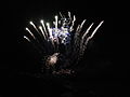 The fireworks display after Ventnor Carnival 2011, along the seafront at Ventnor, Isle of Wight.