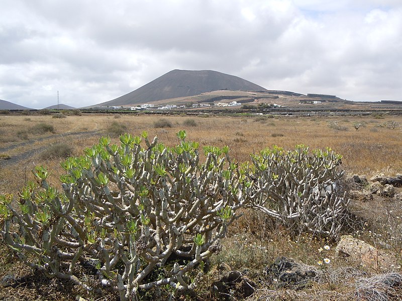 File:Verode devant la Montaña Tamia.jpg