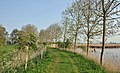* Nomination The nature reserve of the Viconia Kleiputten in Stuivekenskerke, West Flanders, Belgium -- MJJR 20:43, 23 April 2011 (UTC) * Promotion Good quality. --Taxiarchos228 11:14, 27 April 2011 (UTC)