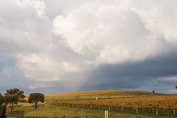 The Barossa Valley, northeast of Adelaide. South Australia's wine industry is the largest in Australia.