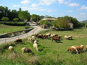 Village Gard.jpg