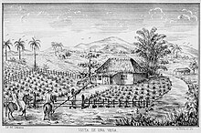 Tobacco fields in Cuba, 1859 Vista de una vega.jpg