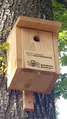 A bird nest house that was created by several Groninger local governments. It shows how the local governments are trying to preserve the local avian wildlife.