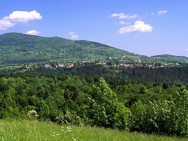 Vrbovsko Panorama.jpg