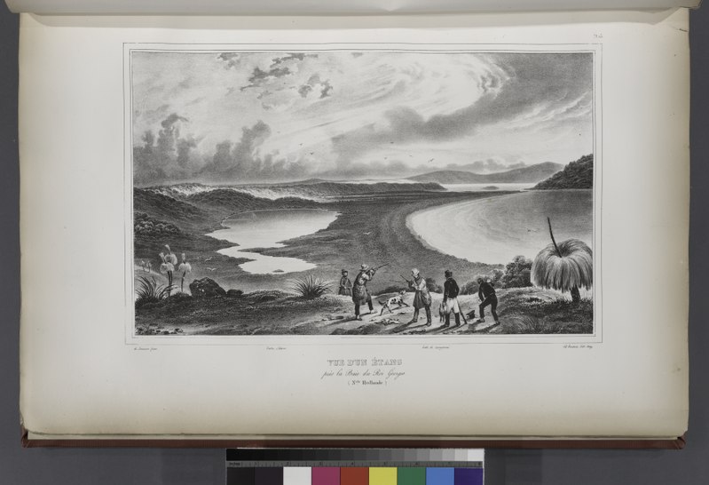 File:Vue dun Étang prés la Baie du Roi Georges. (Nelle Hollande.) (NYPL b13624459-1266784).tiff