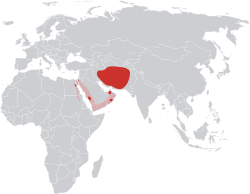 Vulpes cana (distribution).svg
