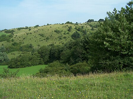 WAK BERGE Alte Warth