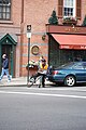 This photo is of Wikis Take Manhattan goal code S15, Bicyclist transporting groceries etc., on bike.