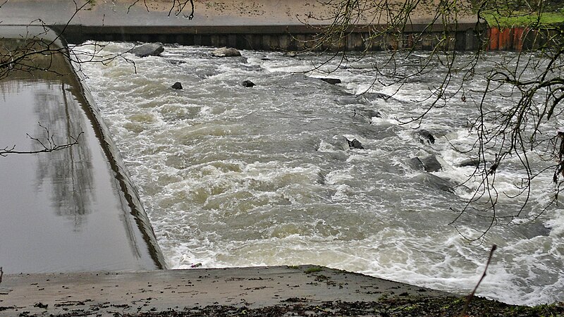 File:Weir on the Aire - geograph.org.uk - 3363409.jpg