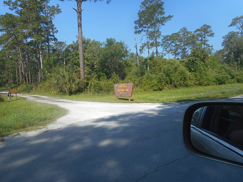 File:Welaka State Forest; Mud Springs Trail sign from PCR 309.jpg