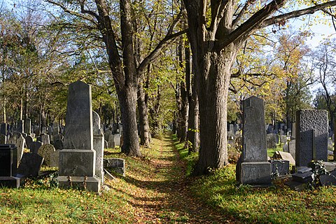 Avenue in the old Israelite section of Vienna Central Cemetery