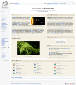 Wikipedia Jawa-2021-05-01.png