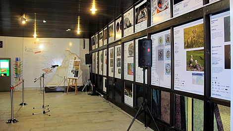 Общая панорама выставки «Вики-наука 2015»