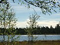 Wildsee im Nordschwarzwald