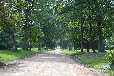 Williamsville driveway