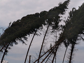 Wind Flow of gases or air on a large scale