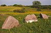 Wood Lake Battlefield Historic District Wood Lake Battlefield 2012.JPG