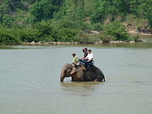 Elephant ride in the Yok Don National Park, Vietnam Yokdon7.JPG