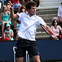 Miniatura para Mischa Zverev