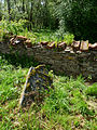 Čeština: Židovský hřbitov v obci Hořepník, okres Pelhřimov, kraj Vysočina. English: Jewish cemetery in the town of Hořepník, Pelhřimov District, Vysočina Region, Czech Republic.