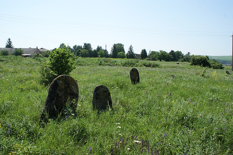 File:Єврейське кладовище ХІХ ст Ямпіль DSC01541.jpg