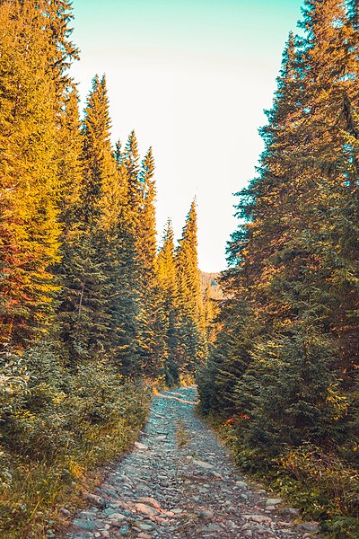 File:Карпатський національний природний парк.jpeg