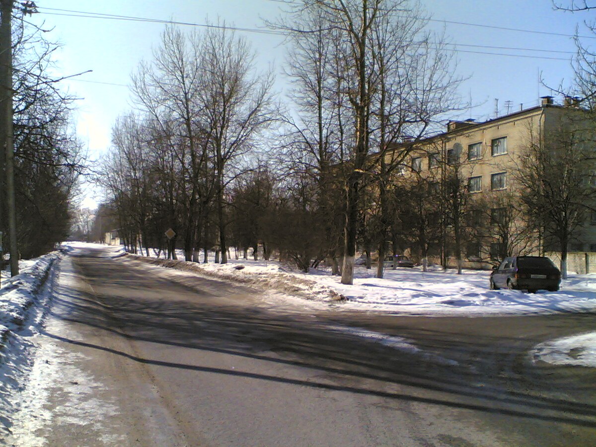 Родина (Псковская область) — Википедия