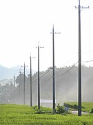 田園地帯の電柱（一般に都市部よりは細いものが用いられる）