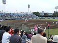 静岡県草薙総合運動場硬式野球場