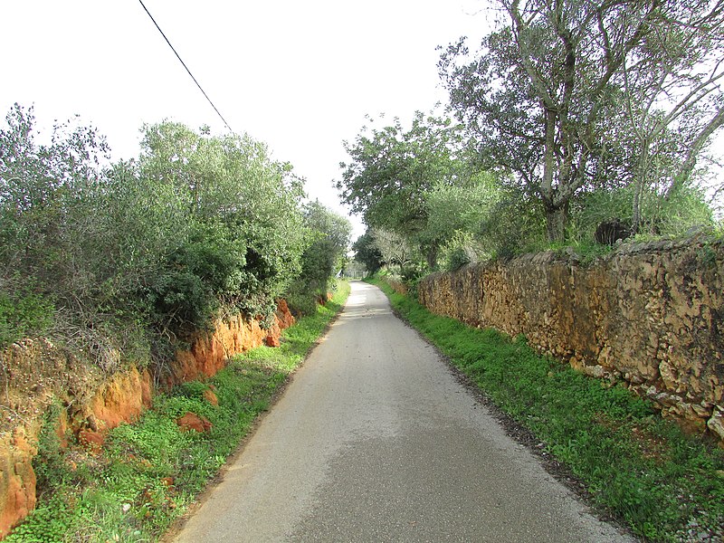 File:08-12-2016, Unnamed road, Pinhal, Albufeira.JPG