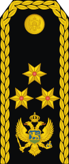 Vice admiral(Montenegrin Navy)[38]