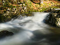 * Nomination Savoureuse river, in Lepuix, France. --ComputerHotline 18:43, 28 October 2013 (UTC) * Promotion  Support Good quality. --XRay 11:45, 29 October 2013 (UTC)