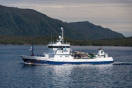 2019-03-15 02 Live fish carrier, RONIA ATLANTIC - IMO 9451563.jpg