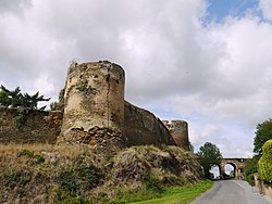 49 Passavant-sur-Layon château.jpg