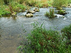 Obermarchtal, Danube in Baden-Württemberg, Fish ladders in Baden-Württemberg