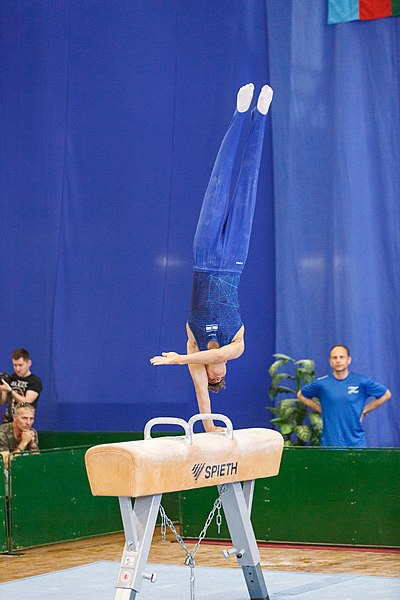 File:5th Budapest Cup 2019-05-26 Uri Zeidel (Norman Seibert) - 01547.jpg