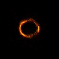 ALMA image of the gravitationally lensed galaxy SDP.81..jpg